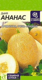 Дыня Ананас Семена Алтая