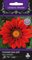Газания Нью Дэй Ред Шейдес 10шт ПЦцп