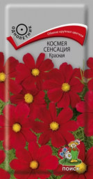 Космея Сенсация красная 0,3гр ПЦц