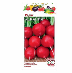 Редис Аскания 2гр ГШ