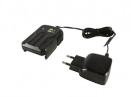 Зарядное устройство Greenworks G40UCM2M (40В, 2А)